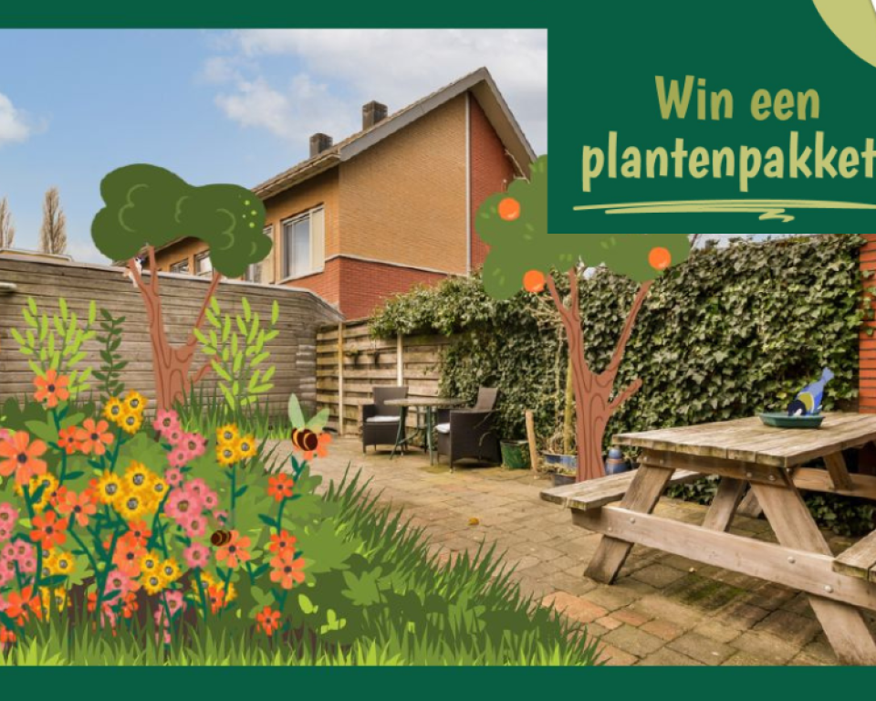 Betegelde tuin waar getekend groen met bloemen en bomen is toegevoegd, met tekst: Win een plantenpakket!